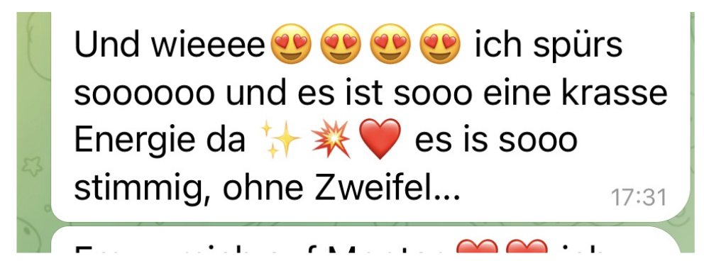 Feedback einer 1:1 Mentoring Kundin 3