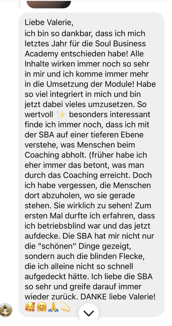 Original Nachricht von Agnes Rutz über ihre Erfahrung mit der Soul Business Academy